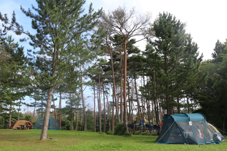 御崎野営場