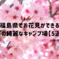 福島県でお花見ができる桜の綺麗なキャンプ場【5選】