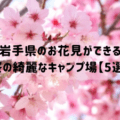 岩手県のお花見ができる桜の綺麗なキャンプ場【5選】