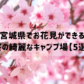 宮城県でお花見ができる桜の綺麗なキャンプ場【5選】