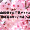 山形県でお花見ができる桜の綺麗なキャンプ場【5選】