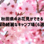 秋田県のお花見ができるキャンプ場