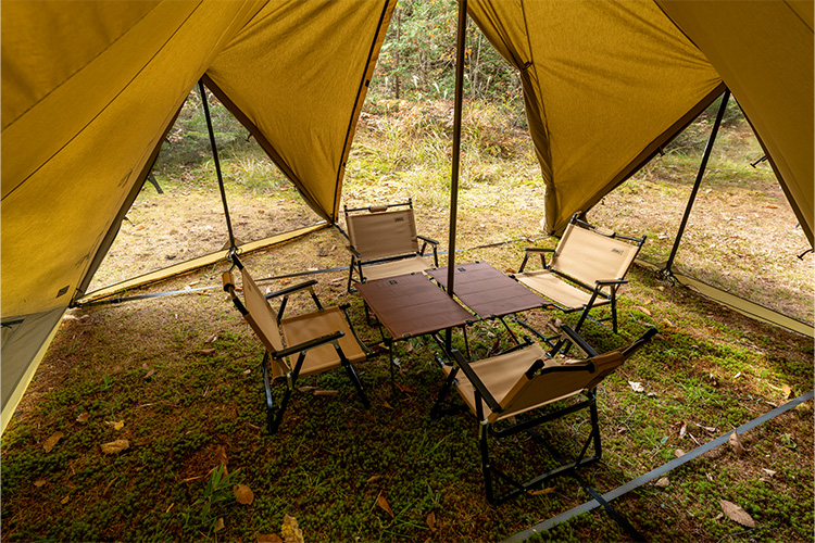 ゼインアーツ　ゼクーM　TC