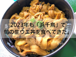 夏泊半島　浜千鳥　生うに丼