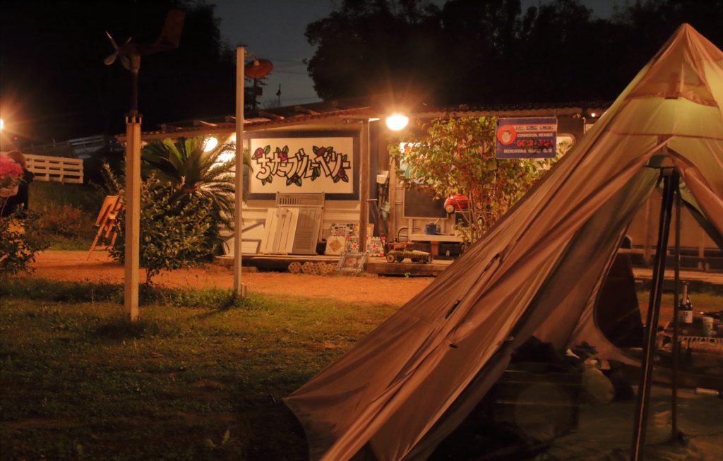 ちたブルーベリー