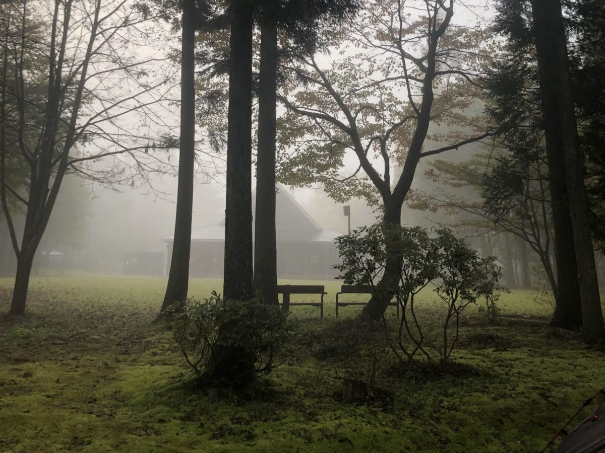 北欧の杜公園オートキャンプ場の朝