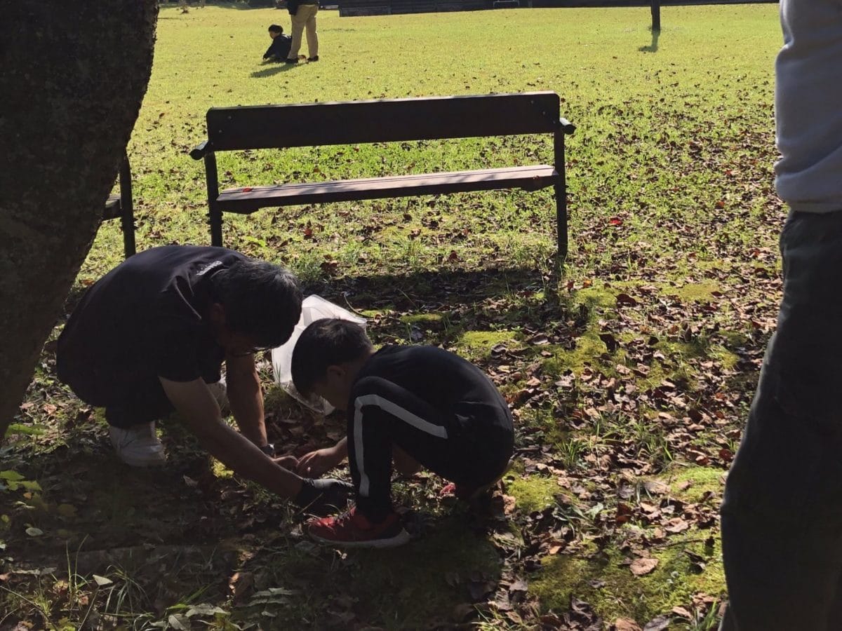 北欧の杜公園オートキャンプ場でカナヘビ捕り
