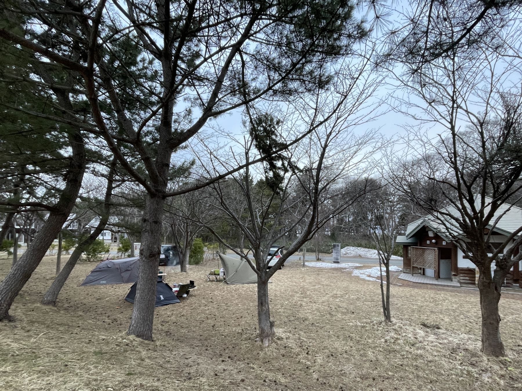 おだいばオートビレッジ オートサイト