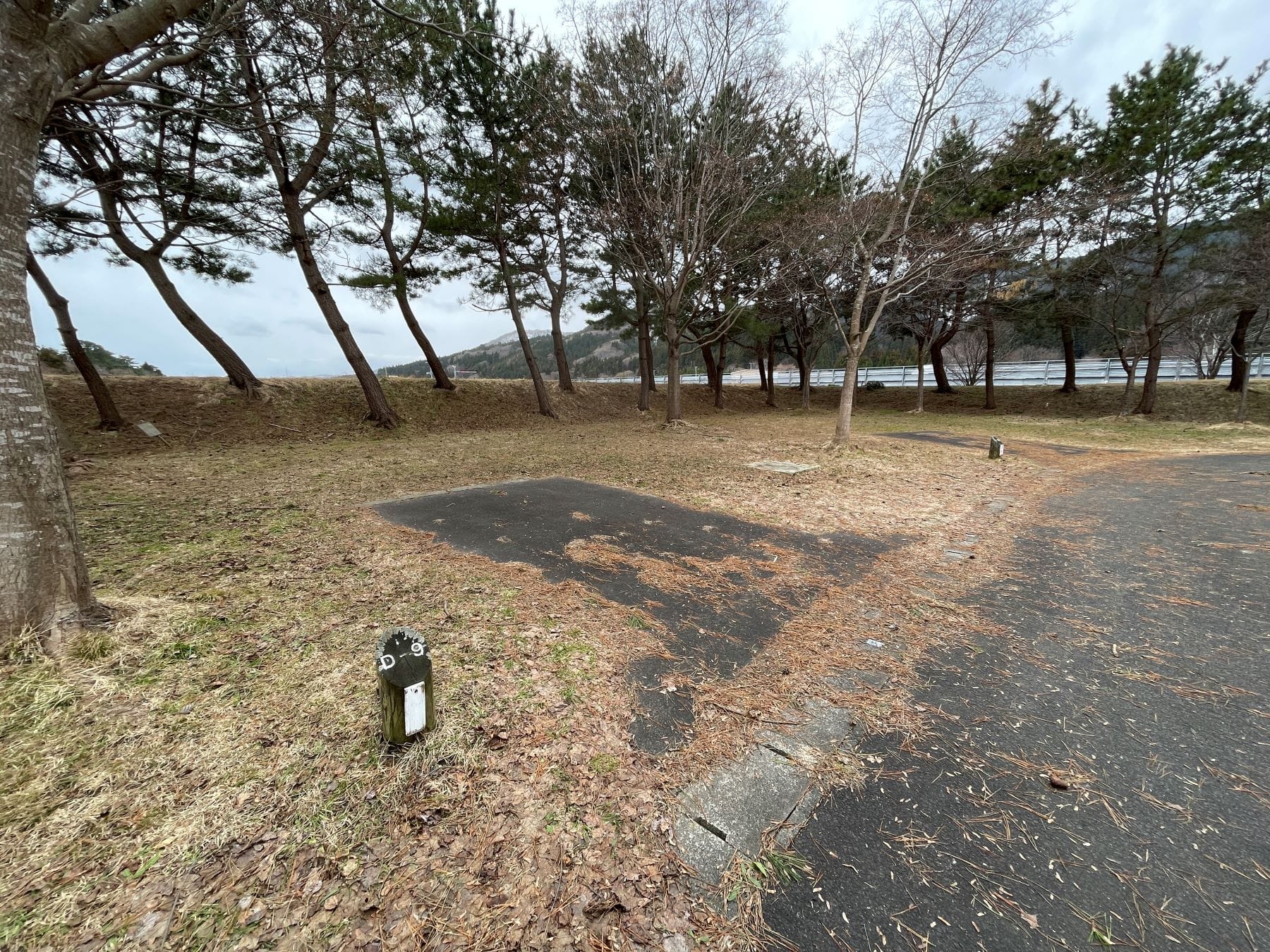 おだいばオートビレッジ オートサイト