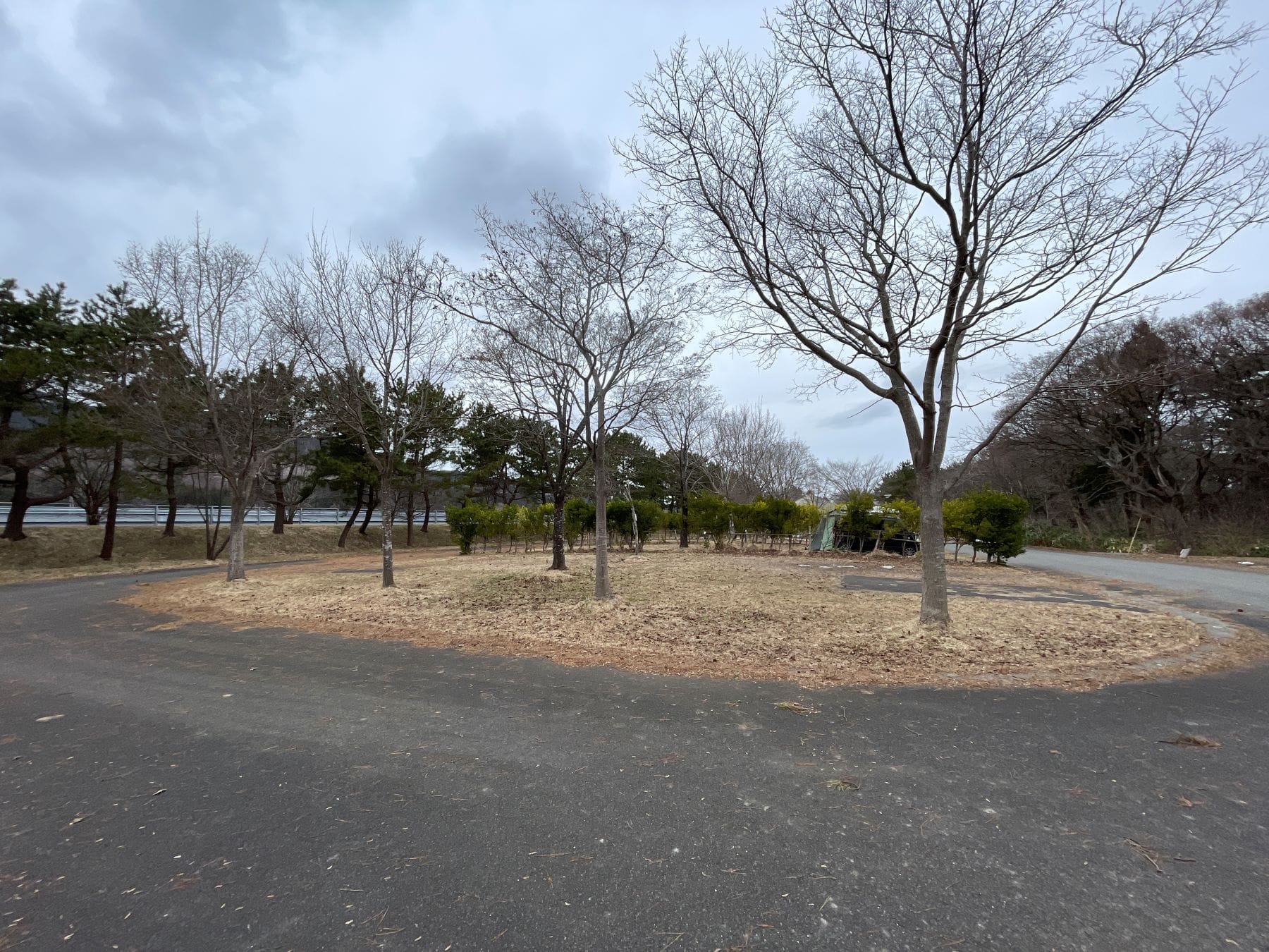 おだいばオートビレッジ オートサイト